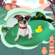 Cats And Dogs Play Cool And Handsome Foldable Love Sunglasses Windproof And Eye Protection